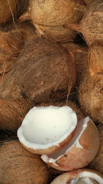 Geleneksel bir pazarda hindistan cevizi yığını. Bakir yağ yapmak için bir sürü hindistan cevizi. Seçilene odaklan