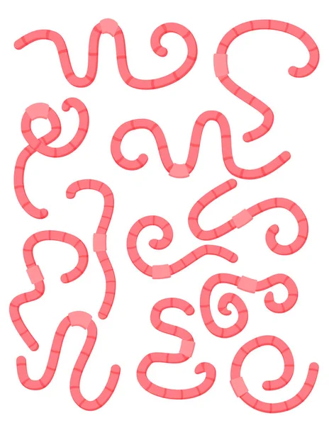 Cartoon Pink Worms Set Скрученные Паразиты Дождевые Черви Изолированные Белом — стоковый вектор
