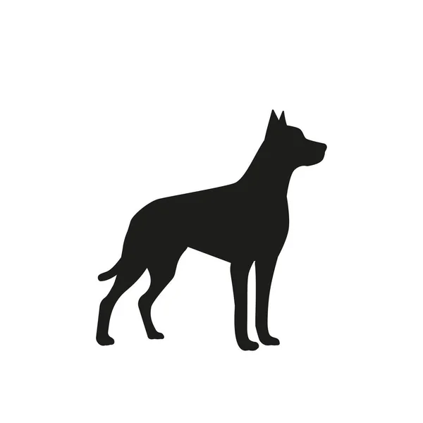 Immagine Vettoriale Labrador Cane Sfondo Bianco Eps — Vettoriale Stock