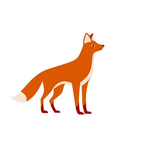 Standing Fox Isolated White Background Body Side View Head Full — ストックベクタ