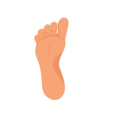 Left foot soles illustration for footwear, shoe concepts, medical, health, massage, spa, acupuncture centers etc. Realistic cartoon style, colored with skin tones. Vector isolated on white. Eps10