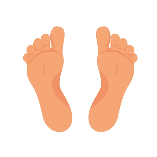 Left and right foot soles illustration for footwear, shoe concepts, medical, health, massage, spa, acupuncture centers etc. Realistic cartoon style, colored with skin tones. Vector isolated on white. Eps10