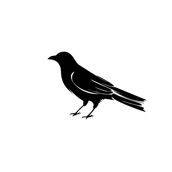 Vektor Design Vorlage Für Vogel Logo Auf Isoliertem Weißem Hintergrund — Stockvektor