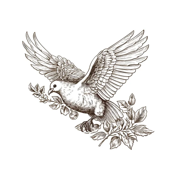 Fliegende Taube Hoffnung Und Glaube Art Detaillierte Editierbare Illustration Vector — Stockvektor