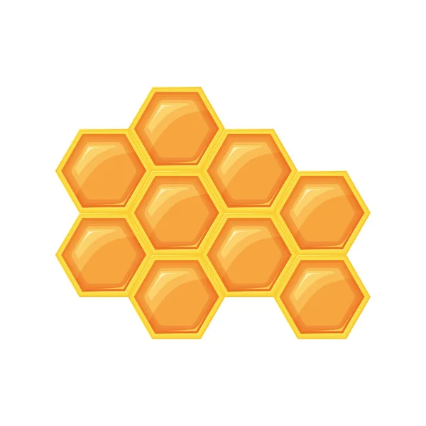 Honeycomb Bee Honey Vector Illustration Isolated White Background — Stock Vector