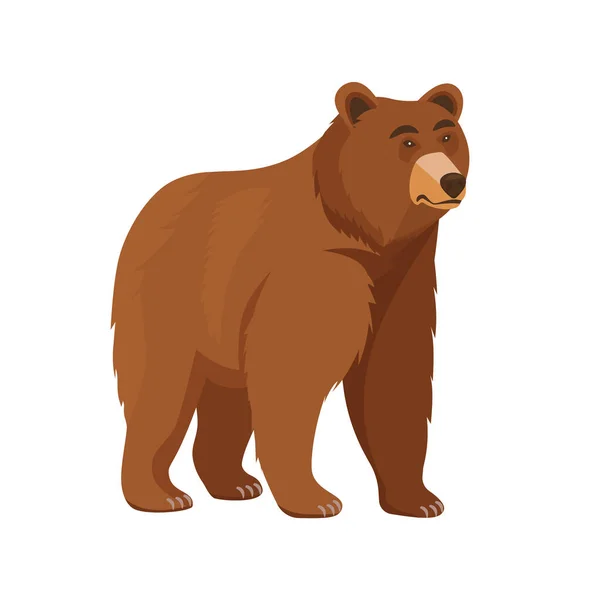 クマは茶色の毛皮で孤立した野生の森の生き物 大きな哺乳動物の漫画のキャラクター — ストックベクタ