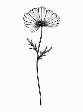 Minimum bitkisel çizim sanatı. Buketler. Vahşi ve bahçe bitkilerinin, dalların, yaprakların, çiçeklerin, otların moda unsurları. Logo veya dövme için vektör illüstrasyonuName