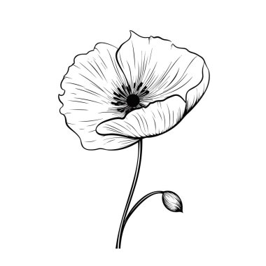 Minimum bitkisel çizim sanatı. Buketler. Vahşi ve bahçe bitkilerinin, dalların, yaprakların, çiçeklerin, otların moda unsurları. Logo veya dövme için vektör illüstrasyonuName