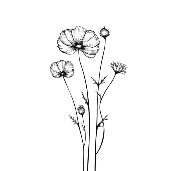 Minimal Gezeichnete Florale Botanische Linienkunst Sträuße Trendige Elemente Aus Wild — Stockvektor
