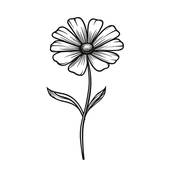 フローラルボタニカルラインアート ブーケット 野生植物 ハーブのトレンディな要素 ロゴやタトゥー 招待状 日付を保存するためのベクトルイラスト カード — ストックベクタ