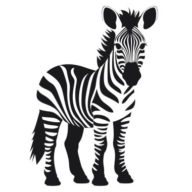 Zebra, çizgili at, Afrika savanı hayvanı, çizgili deri, çizgi deseni. Vahşi hayvan, sevimli karakter, beyaz arkaplanda izole nesne, çizgi film vektörü çizimi.