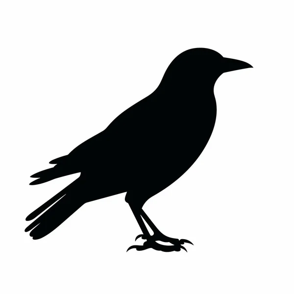 Best Crow Silhouette Images White Background Any Design Needs Especially — Stock Vector