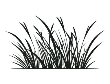 Tasarım için panoramik çim silueti beyaz arkaplanda izole.