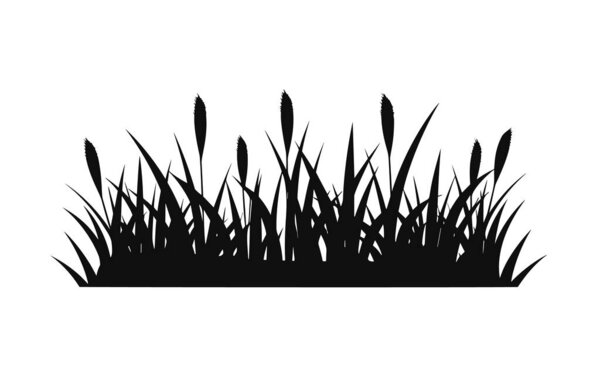 Panoramic grass silhouette for design isolated on white background.