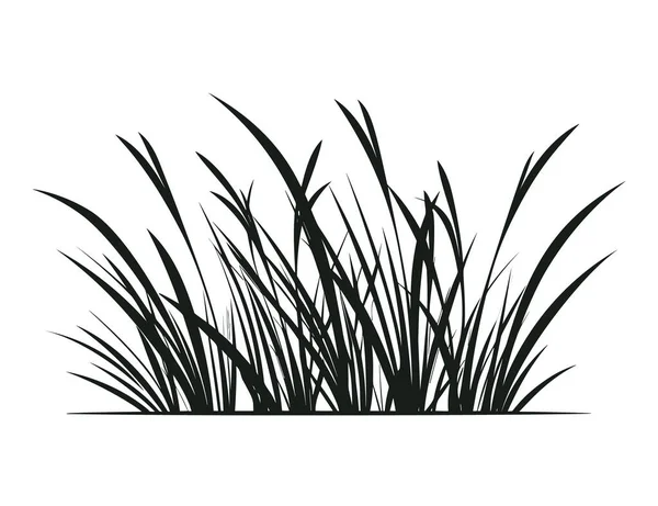 Панорамный Силуэт Травы Дизайна Изолирован Белом Фоне — стоковый вектор