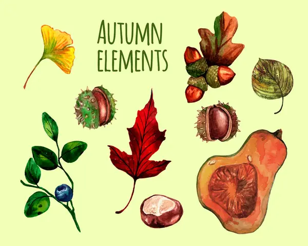 stock vector Autumn watercolor vector nature elements set