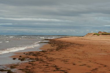 Prens Edward Adası 'ndaki Kumsal Atlantik Okyanusu' nun Kırmızı Kum Suyu. 