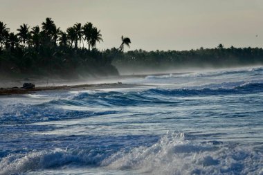  Vista de la Playa Las Galeras, Peninsula de Samana, Repblica Dominicana             