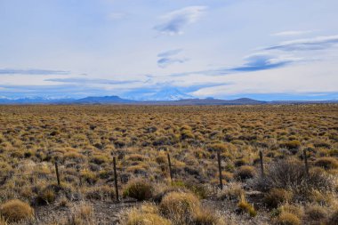 Patagonya 'daki manzara, çöl bozkırları ve arka planda Lanin volkanı, 40. yol, Arjantin. 