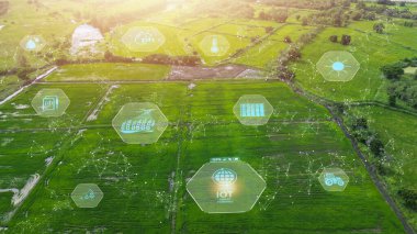 Smart Farm IOT, gelişmiş gerçeklik, yapay zeka entegrasyonu, 4.0 endüstri teknolojisi kullanan akıllı tarım inovasyon çiftçisi.