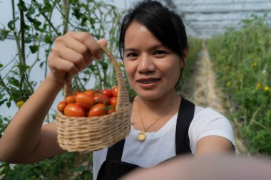 Tarım, çiftlik ve gülümseyen kadının selfie 'si. Sosyal medya veya internet paylaşımı için kadın çiftçinin kendi portresi.