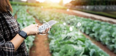 Çiftçiler tarım teknolojisi ve veri analizini mahsul yetiştirmek için kullanırlar..