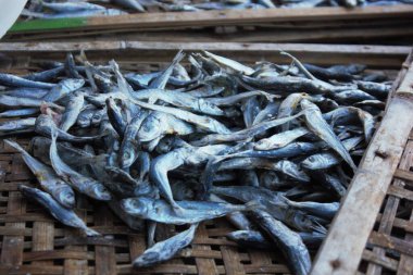 Balık pazarında tuzlu balık