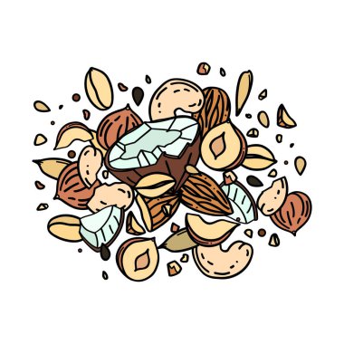 Vektör el çizimi fındık ve tohum karışımı beyaz bir arkaplanda karalama tarzı