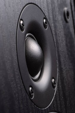 Tahta bir çantadaki ses hoparlörünün siyah beyaz görüntüsü.