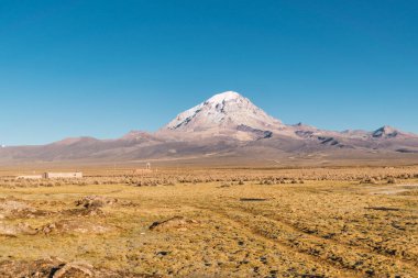 Sajama Ulusal Parkı, yağmur mevsiminde karla kaplı dağlarla çevrilidir. Kara bulutlar ve güneş Bolivya düzlüklerinde kuru bitki örtüsü ve kahveyle çevrilidir.
