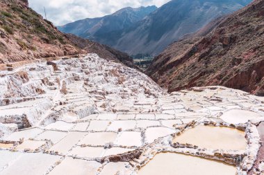 Peru 'da güneşli bir yaz gününde, incas' ın kutsal vadisinde, bitkilerle çevrili salineras de maras terasları.