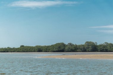 island of love in the mangroves of tumbes on a sunny day surrounded by trees and people and boats in the sea clipart