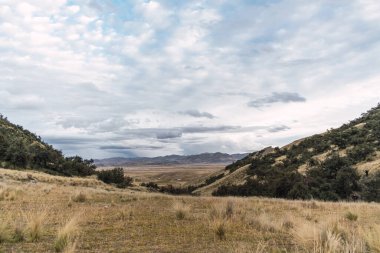 Peru 'da günbatımı ve güneş batıyor. Uzaktaki tepeleri sarıya boyuyor ve mavi gökyüzü ile çevrili sıra ağaçlarla çevrili.