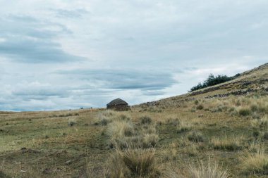 Peru And Dağları 'ndaki bir dağda kulübe ve kulübe. Gün batımında yeşil bitki ve ağaçlarla çevrili mavi bir gökyüzü.