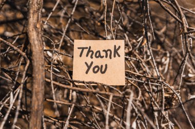 Teşekkür ederim. Ağaç kabuğu desenli geri dönüşümlü karton üzerine yazılmış ve çizilmiş..