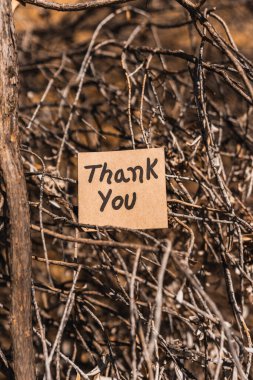 Teşekkür ederim. Ağaç kabuğu desenli geri dönüşümlü karton üzerine yazılmış ve çizilmiş..