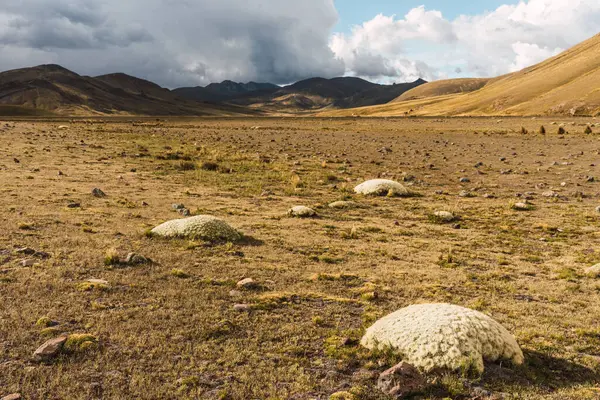 Muhteşem bulutlu gökyüzünün altındaki dağ vadisinin panoramik manzarası.