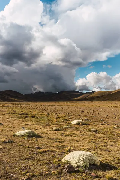 Muhteşem bulutlu gökyüzünün altındaki dağ vadisinin panoramik manzarası.