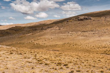 And Platosu 'nun manzarası, dağ sırası ve pek çok fırtına bulutu ve mavi gökyüzü olan seyrek bitki örtüsü.