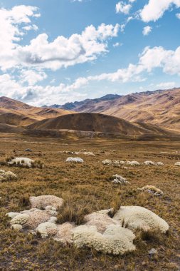 And Platosu 'nun manzarası, dağ sırası ve pek çok fırtına bulutu ve mavi gökyüzü olan seyrek bitki örtüsü.