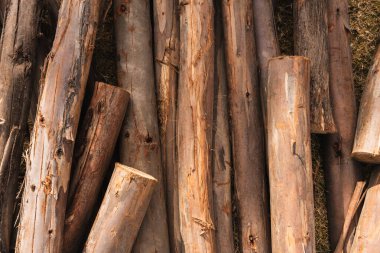 Okaliptüs kütükleri, ağaç kabuğunun dokusunu ve odunun doğal tahılını gösteriyor..