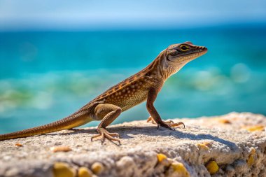 Kahverengi Anole kertenkelesi denizde yürüyor. Yapay zeka fotoğraf üretti. 4K Portre Öngörünüm 8K. HD Resim Arkaplanı