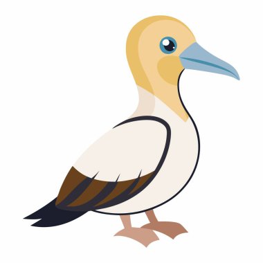 Cape Gannet Bird, Kawaii öğreniyor. Yapay zeka görüntü oluşturdu. Clipart çizgi film deisgn simgesi