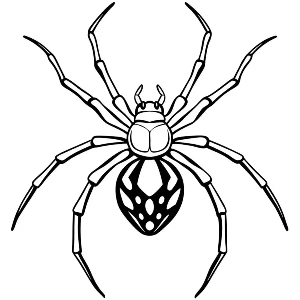 stock vector Black widow spider. png. redback. Latrodectus mactans or hasselti . AI generated. Vector icon