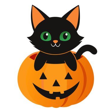 Jack O Lantern balkabağında kara kedi. Cadılar Bayramı 'nız kutlu olsun. Vektör simgesi