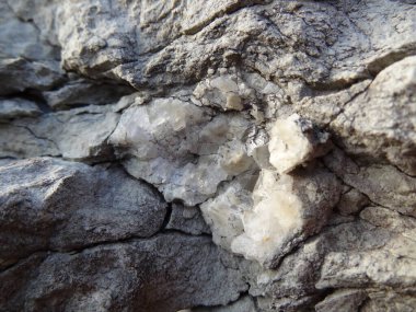 Kaya içindeki kuvars kristalleri.