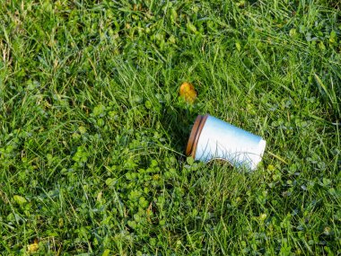 Çimlere boş kahve konservesi