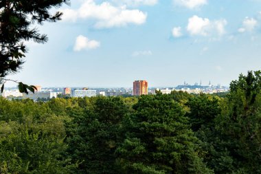 Tallinn şehrinin bir tepeden görünüşü.