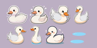 Farklı pozlarda şirin ördekler.