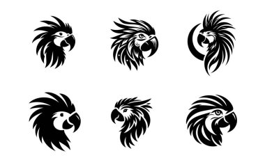 Siyah kuş seti. vektör illüstrasyonu